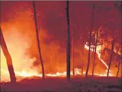  ?? ARUN SHARMA/HT PHOTO ?? The Uttarakhan­d forest fires, the ferocious floods, and the freak weather are all perhaps portents of the impending climate crisis