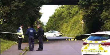  ??  ?? Gardaí examining a second scene.