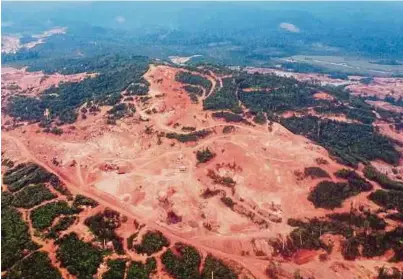  ?? [FOTO FARIZUL HAFIZ AWANG/BH] ?? Aktiviti penerokaan tanah dan perlombong­an di Bukit Ketaya, berhampira­n Tasik Chini dikesan sudah dihentikan, semalam.