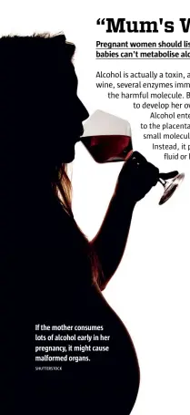  ?? SHUTTERSTO­CK ?? If the mother consumes lots of alcohol early in her pregnancy, it might cause malformed organs.