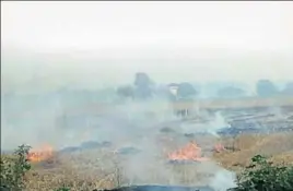  ?? HT FILE ?? Farmers burning paddy stubble in Karnal. A dramatic rise in crop burning in Punjab, Haryana and Uttar Pradesh in Octoberend contribute­d to the air quality in the Indoganget­ic belt.