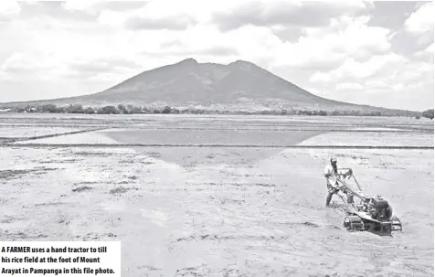  ??  ?? A fArMer uses a hand tractor to till his rice field at the foot of Mount Arayat in Pampanga in this file photo.