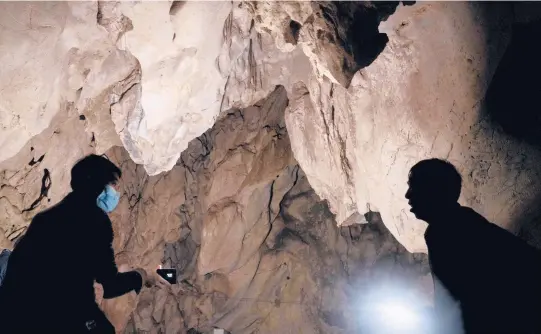  ?? NG HAN GUAN/AP ?? Visitors look inside the abandoned Wanling cave last month in southern China’s Yunnan province. Villagers said the cave had been used as a sacred altar presided over by a Buddhist monk — precisely the kind of contact between bats and people that alarms scientists.