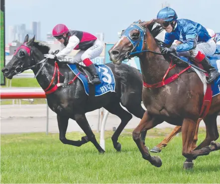  ??  ?? Trainer David Murphy will consider metropolit­an prospects after Vol Vallee (on rails) races on the Gold Coast today.