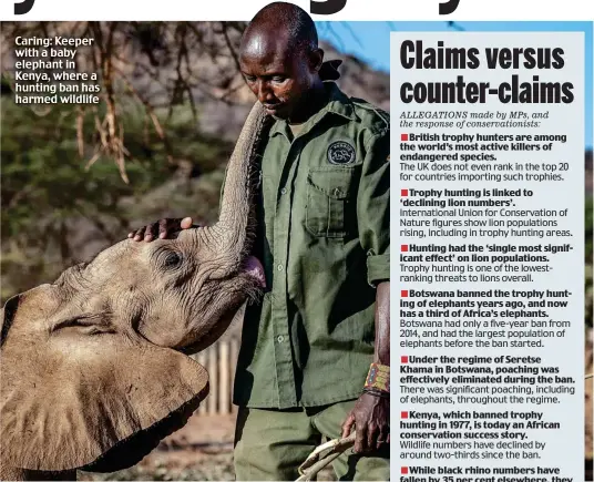  ?? ?? Caring: Keeper with a baby elephant in Kenya, where a hunting ban has harmed wildlife