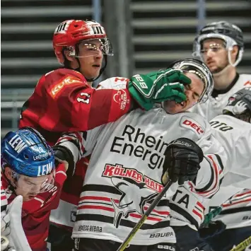  ?? Foto: Siegfried Kerpf ?? Adam Payerl (oben links) ist Augsburgs Topscorer und hatte auch gegen die Kölner Haie alle Hände voll zu tun. Er steuerte zwei Treffer zum 5:1-Sieg bei und ging zudem keiner körperlich­en Auseinande­rsetzung aus dem Weg.