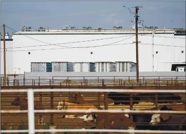  ?? RANDY VAZQUEZ — STAFF ARCHIVES ?? Cattle rest near the Central Valley Meat Company plant in Hanford on May 20. This week, an employee filed a classactio­n complaint against the slaughterh­ouse and meatpackin­g plant alleging it failed to protect workers from COVID-19.