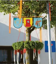  ?? Foto: Mayerle ?? Drei Wappen zieren den „Maibaum“vor dem Geschäft der Höchstädte­r Familie Mayerle.