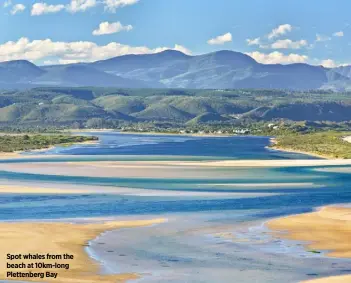  ??  ?? Spot whales from the beach at 10km-long Plettenber­g Bay