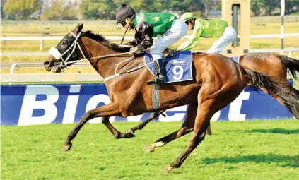  ??  ?? FAST FINISH. High Drama finished fast to beat Netflix over the Vaal 2000m back in May last year and could win Race 5 at the country venue tomorrow.