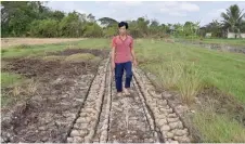  ?? ?? A farmer walks along an abandoned field due to saline intrusion, in Vietnam’s southern Ben Tre province.