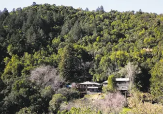  ?? Photos by Michael Macor / The Chronicle ?? Above: Homes in the Fitch Mountain neighborho­od just outside Healdsburg are surrounded by thick vegetation. Residents love their wooded location, but it’s packed with fuel for a wildfire.