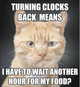 Change your clocks feed the cat on time - PressReader