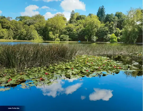  ??  ?? Lake Te Ko Utu