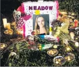  ?? Greg Lovett Palm Beach Post ?? MEADOW POLLACK was hit by nine bullets in the mass shooting. She was 18 years old.