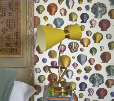  ??  ?? Shimmering shells: The Picture Book collection by John Derian for Designers Guild