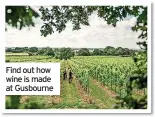  ??  ?? Packages are available from Sept 23 to Oct 3. Visit gusbourne.com
Find out how wine is made at Gusbourne