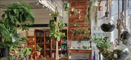  ?? COURTESY LISSETT MCCARTHY ?? ayahuasca Zero Waste on summer street in Fitchburg is filled with a variety of ‘green’ items including handmade soaps, plants and refillable products.