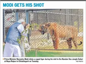  ??  ?? Prime Minister Narendra Modi clicks a caged tiger during his visit to the Nandan Van Jungle Safari at Naya Raipur in Chhattisga­rh on Tuesday. PIB PHOTO