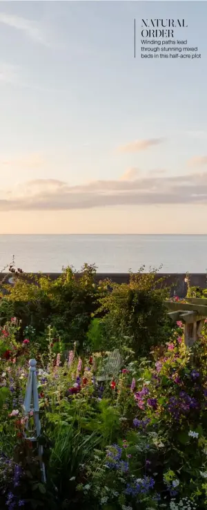  ??  ?? NATURAL ORDER
Winding paths lead through stunning mixed beds in this half-acre plot