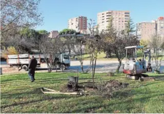  ?? ABC ?? Uno de los parques de la Ciudad de la Cerámica