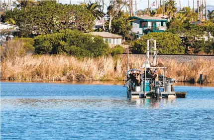  ?? ADRIANA HELDIZ U-T ?? Scientists conduct a survey of sediment from a barge on the Buena Vista Lagoon on the Oceanside-carlsbad border last week.