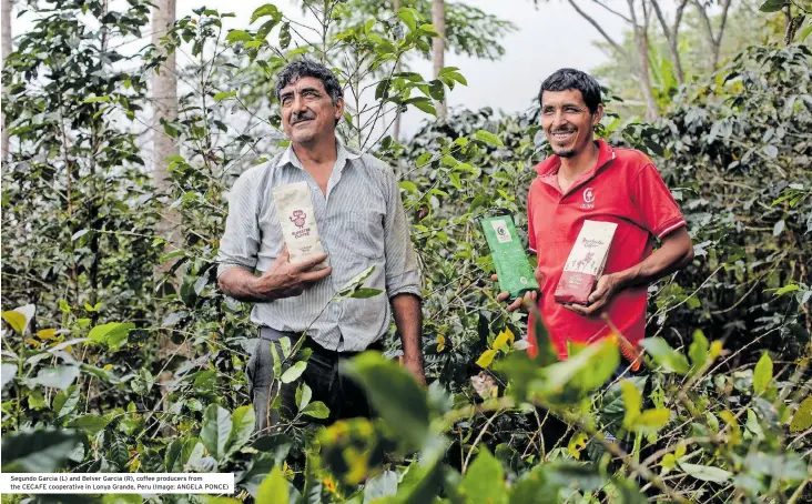  ?? ?? Segundo Garcia (L) and Belver Garcia (R), coffee producers from the CECAFE cooperativ­e in Lonya Grande, Peru (Image: ANGELA PONCE)