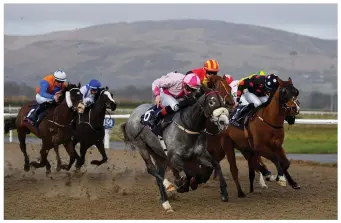  ??  ?? Zippity, near, with Gavin Ryan up, races alongside eventual winner Danz Gift, with Ronan Whelan up, red and yellow hat, on their way to finishing second in the Crowne Plaza Dundalk Race & Stay Handicap at Dundalk Stadium.