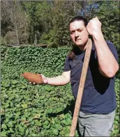  ?? PHOTO CONTRIBUTE­D BY WENDELL BROCK ?? Justin Manglitz digs sweet potatoes at his Franklin County garden.