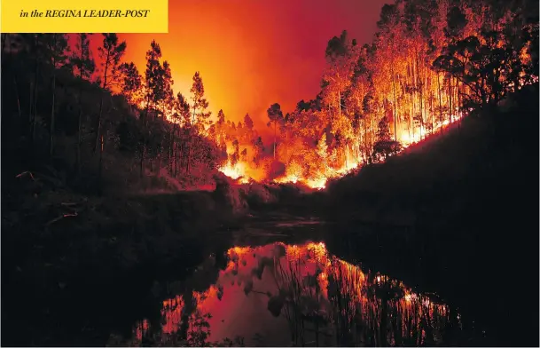  ?? PATRICIA DE MELO MOREIRA / AFP / GETTY IMAGES ?? A massive fire rages after a tree was struck by lightning during a “dry thundersto­rm” in the heavily forested area of Pedrogao Grande in central Portugal on Sunday.