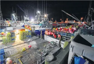  ??  ?? The lobster fleet in port in Pinkney's Point, Yarmouth County, on the morning of dumping day in November 2019.