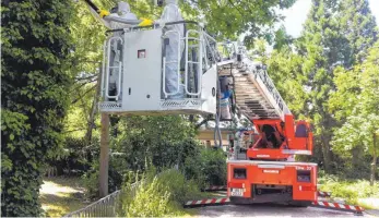  ?? ARCHIVFOTO: AFI ?? Die Bekämpfung des Eichenproz­essionsspi­nners war in diesem Jahr wegen des heißen Sommers sehr aufwendig.