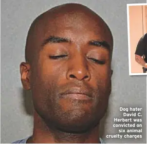  ??  ?? Dog hater David C. Herbert was convicted onsix animal cruelty charges