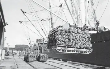 ?? ?? Onions being loaded on to a ship at Cunningham Pier in 1972.