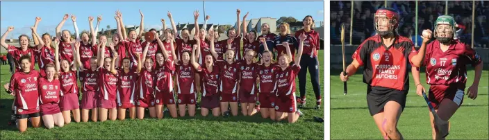  ??  ?? Cheers of joy from the St. Martin’s squad after retaining their title in Bellefield on Saturday. Aoife O’Connor (Oulart-The Ballagh) is chased by Lisa Firman.