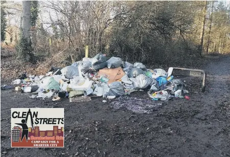  ??  ?? Rubbish dumped near James Steel Park in Washington.