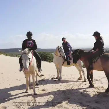  ??  ?? Papiesfont­ein beach horse trails is situated just 10km outside Jeffreys Bay and 70km from Port Elizabeth.