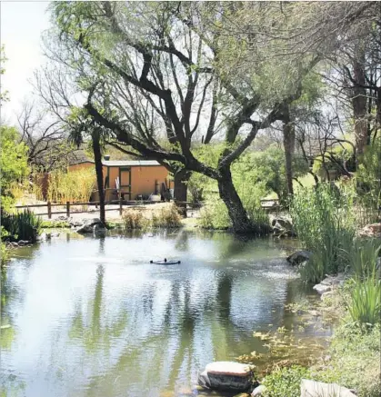  ?? Ken Van Vechten ?? PATIO SEATING at the Firefly Restaurant in Amado, Ariz., can take in views of mountains, desert and a tree-shaded pond.