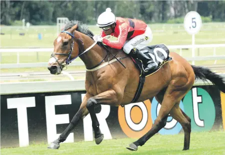  ??  ?? IMPROVED. The fitting of a tongue tie seems to have worked well for Chili Lime who could give the younger generation a run for their money in Race 6 at the Vaal today.