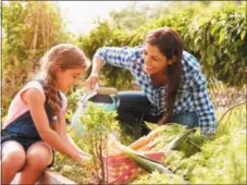  ?? SUBMITTED PHOTO ?? Mom and daughter get busy in the garden. Gardening can be a great family activity. Children exposed to the outdoors and gardening are more focused, have fewer issues with attention deficit and score higher on tests.