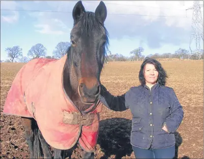  ??  ?? Horse therapist Anne MacGregor, who works out of Muthill.