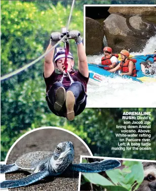  ?? ?? ADRENALINE RUSH: David’s son Jacob ziplining down Arenal volcano. Above: White-water rafting on Pacuare river. LefLeft: A baby turtle making for the ocean