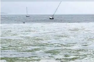  ?? AFP/SAUL LOEB ?? A passagem do furacão provocou maré mais baixa que o normal no litoral da Flórida e ‘secou’ as praias