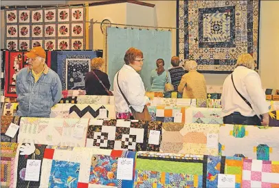  ?? WENDY ELLIOTT ?? Linda Cowan’s year-long quilt project was among the most striking of the several hundred quilts displayed on May 13 in Centrevill­e.