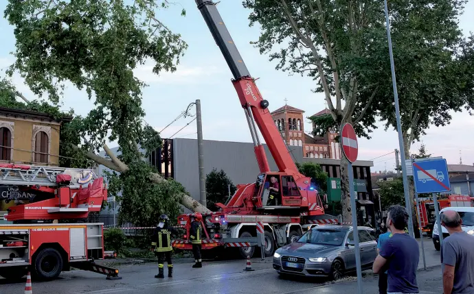  ??  ?? L’albero sulla casa In via dei Colli i pompieri hanno lavorato per ore per mettere in sicurezza la zona dopo che un albero si è abbattuto su una casa facendo danni importanti