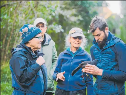  ?? Photo / Amanda Rogers ?? Volunteers, from left, Norma Baker, Kay Milton, Morag Fordham and ecologist Dave Bryden with ko¯ kako Mihipeka, named after author Mihipeka Edwards.