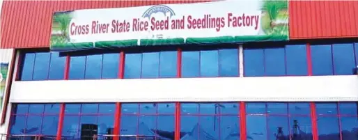  ??  ?? Cross River State Rice And Seedlings Factory