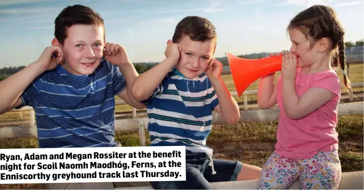  ??  ?? Ryan, Adam and Megan Rossiter at the benefit night for Scoil Naomh Maodhóg, Ferns, at the Enniscorth­y greyhound track last Thursday.