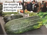  ??  ?? Jaw-dropping: giant veg will star at Harrogate