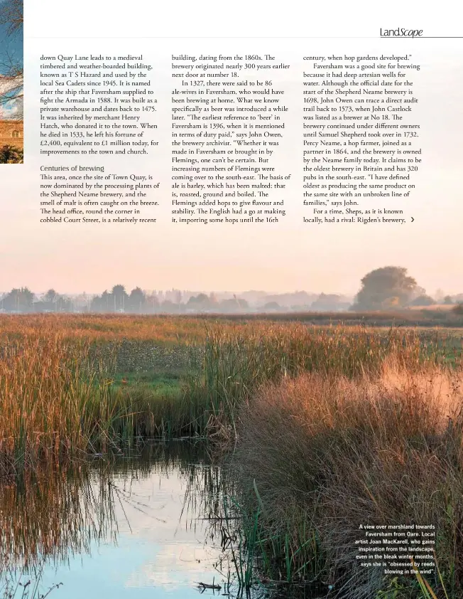  ??  ?? ›
A view over marshland towards Faversham from Oare. Local artist Joan MacKarell, who gains inspiratio­n from the landscape, even in the bleak winter months, says she is “obsessed by reeds blowing in the wind”.